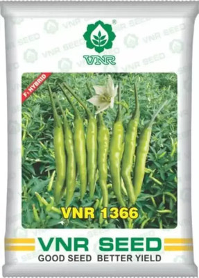 VNR vnr 1366 chilli seeds Seed (100 per packet) Seed(1 per packet)