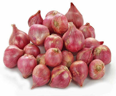 ENINE Onion Seed(100 per packet)