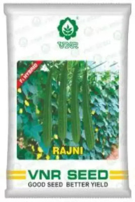 VNR vnr rajni ridge guard seeds Seed Seed(50 per packet)