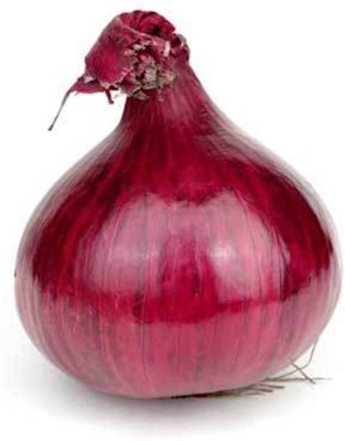 KANAYA Onion Seed(40 per packet)