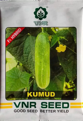 NV LIVE VNR Cucumber, Kheera Seed (200 per packet) Seed(20 per packet)