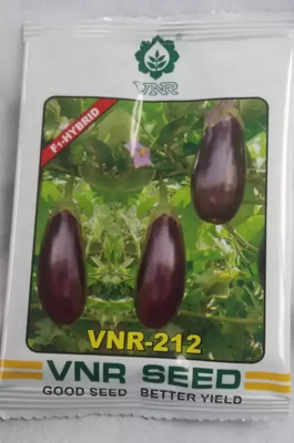 VNR VNR BRINJAL Seed (2000 per packet) Seed(100 per packet)