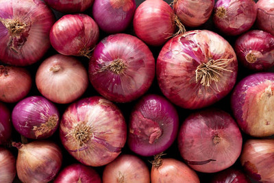 MKR Enterprises Onion Seed(850 per packet)