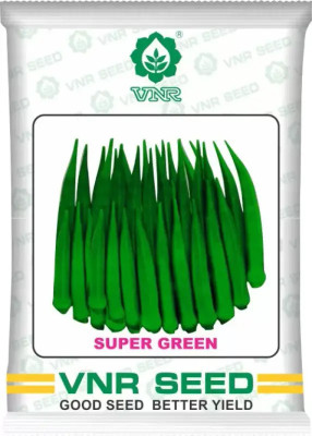 VNR vnr 332 rani chilli seed Seed Seed(10 per packet)
