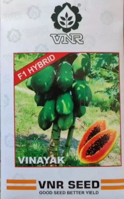 Pearlo PAPAYA Seed(20 per packet)
