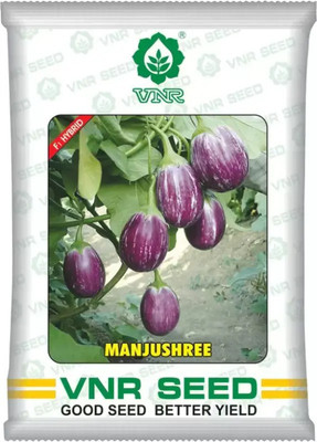 VNR vnr MANJUSHREE hybrid brinjal Seed (10 g) Seed(1 per packet)