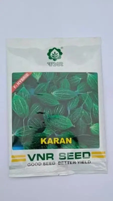 VNR VNR BITTER GOURD F1 HYBRID Seed Seed(1 per packet)