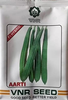 NV LIVE Ridge Gourd Seed Seed(20 per packet)