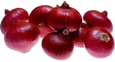 MKR Enterprises Onion Seed(450 per packet)