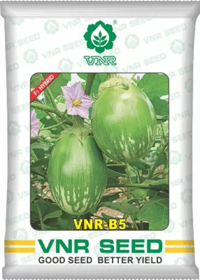 VNR vnr B-5 hybrid brinjal Seed (10 g) Seed(20 per packet)
