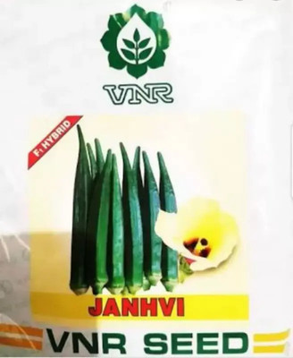VNR VNR JANVI BHINDI SEED Seed (2000 per packet) Seed(1 per packet)