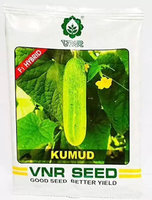 Foscos VNR KUMUD Kheera and cucumbers seed Seed Seed(100 per packet)