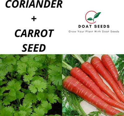 Doat Coriander With Carrot 2 Varieties of Vegetable Seeds Combo (Pack of 100) Seed(100 per packet)