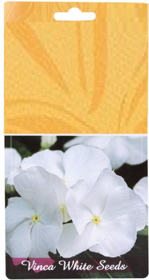 CYBEXIS NBIR-8 - Vinca Rosea Dwarf Whites Flower - (60 Seeds) Seed(60 per packet)