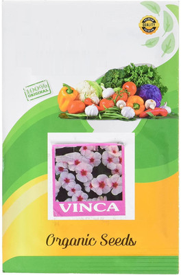 VibeX TLX-75 - Vinca Flower (White) - (540 Seeds) Seed(540 per packet)
