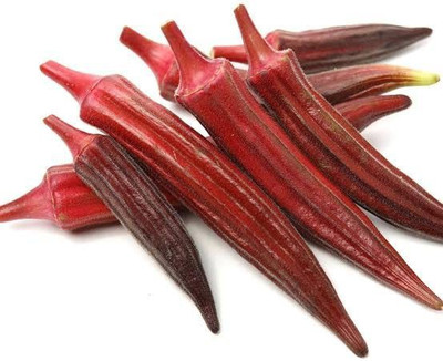KANAYA Red Bhindi Seed(50 per packet)