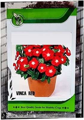 CYBEXIS NBIR-93 - Flowering Vinca Red - (60 Seeds) Seed(60 per packet)