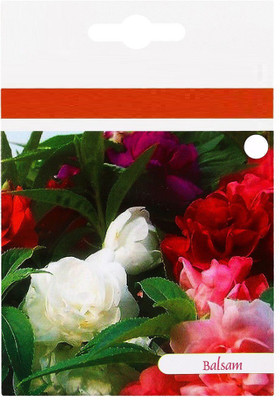 CYBEXIS VXI-2 - Balsam Tom Thumb Mix Flower - (30 Seeds) Seed(30 per packet)