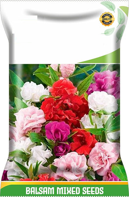 CYBEXIS Balsam Mix Double Flower Seeds Seed(1 g)