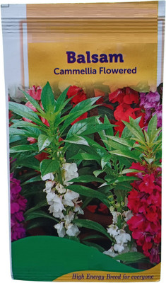CYBEXIS Balsam Tom Thumb Mix Flower Seed Seed(1 g)