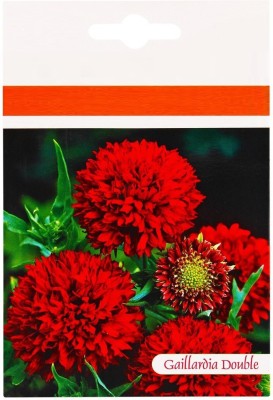 VibeX XLL-1 - Gaillardia Double Dwarf Plume Flower - (180 Seeds) Seed(180 per packet)