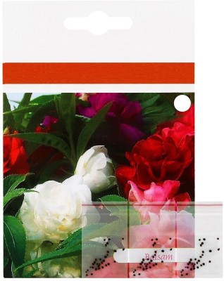 CYBEXIS NDIR-34 - Balsam Tom Thumb Mix 3 in 1 Flower - (90 Seeds) Seed(90 per packet)