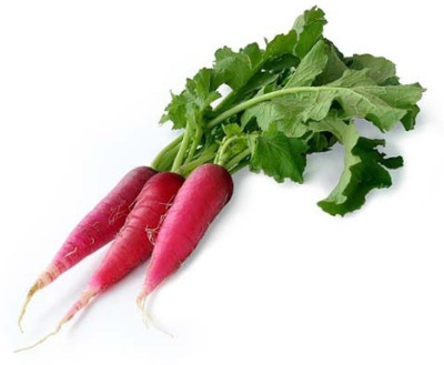 Mozette Red Radish Vegetable Seed(37 per packet)