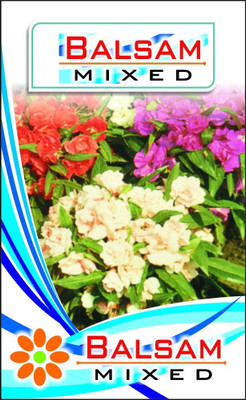 CYBEXIS GBPUT-61 - Balsam Summer Flower Mixed - (270 Seeds) Seed(270 per packet)