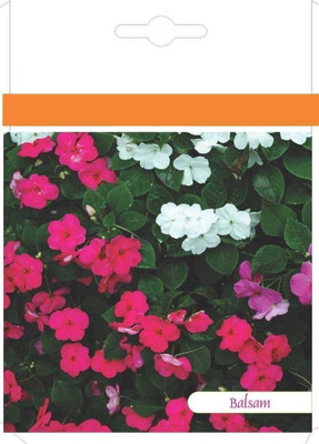 CYBEXIS Balsam Tom Thumb Mix Seed(1 g)