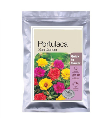 CYBEXIS NBIR-93 - Portulaca Sun Dancer - (900 Seeds) Seed(900 per packet)