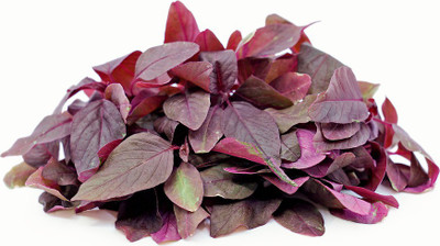 Paudha Red Amaranthus Vegetable Seed(31 per packet)