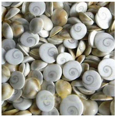 Multiline Company Decorative Showpiece  -  2 cm(Stone, White)