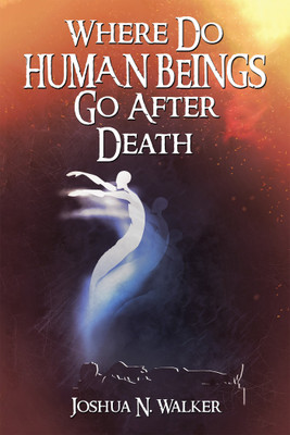 Where Do Human Beings Go After Death(English, Hardcover, Walker Joshua N)