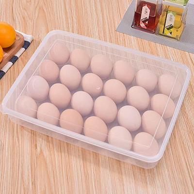 Hugebox Plastic Egg Container  - 2 dozen(Clear)