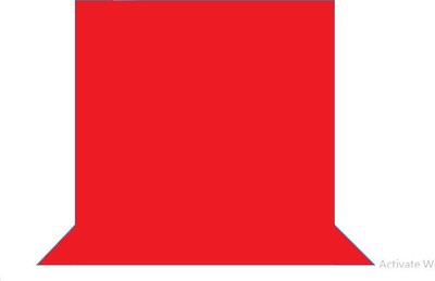 Cam cart 8ftx12ft Blue Backdrop With 9ftx9ft Backdrop with Stand Kit Reflector