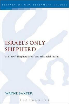 Israel's Only Shepherd(English, Hardcover, Baxter Wayne)