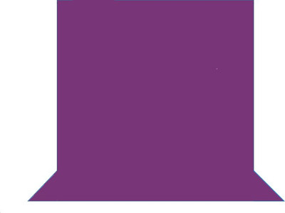 Cam cart 8ftx12ft Purple Background With 9ftx9ft Background stand Kit With Bag Reflector