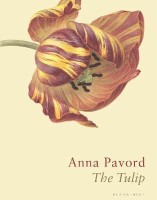 The Tulip(English, Hardcover, Pavord Anna)