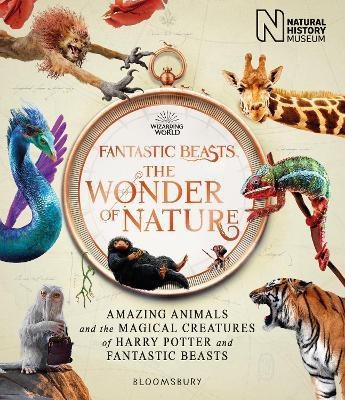 Fantastic Beasts: The Wonder of Nature(English, Hardcover, Natural History Museum)