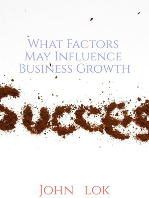 What Factors May Influence Business Growth(English, Paperback, John Lok)