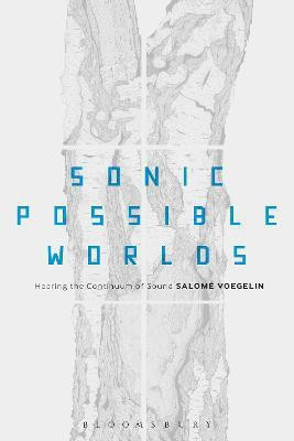 Sonic Possible Worlds(English, Hardcover, Voegelin Salome Dr)