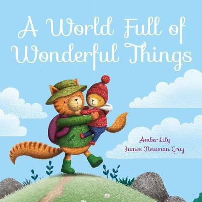 A World Full of Wonderful Things(English, Paperback, Lily Amber)