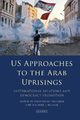 US Approaches to the Arab Uprisings(English, Hardcover, unknown)