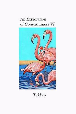An Exploration of Consciousness VI(English, Paperback, Tekkan)