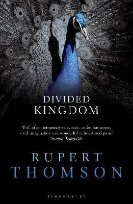 Divided Kingdom(English, Paperback, Thomson Rupert)