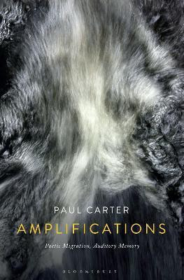 Amplifications(English, Hardcover, Carter Paul Prof)