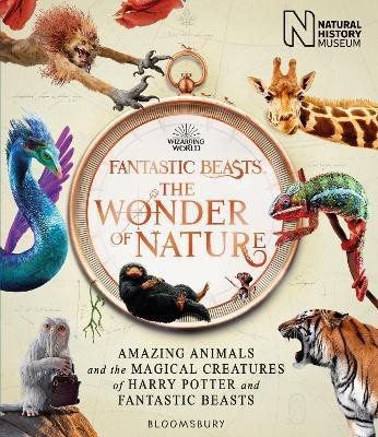 Fantastic Beasts: The Wonder of Nature(English, Paperback, Natural History Museum)