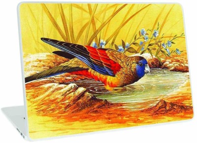 Galaxsia Bird Laptop Skin/Sticker/Cover/Decal Compatible vinyl Laptop Decal 15.6