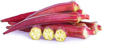 Mozette Hybrid Okra Red Seed(60 per packet)