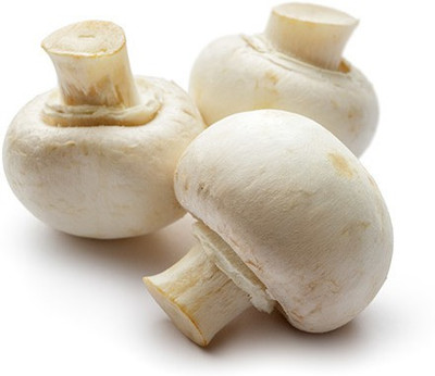 Paudha Mushroom Herb Seed(10 per packet)